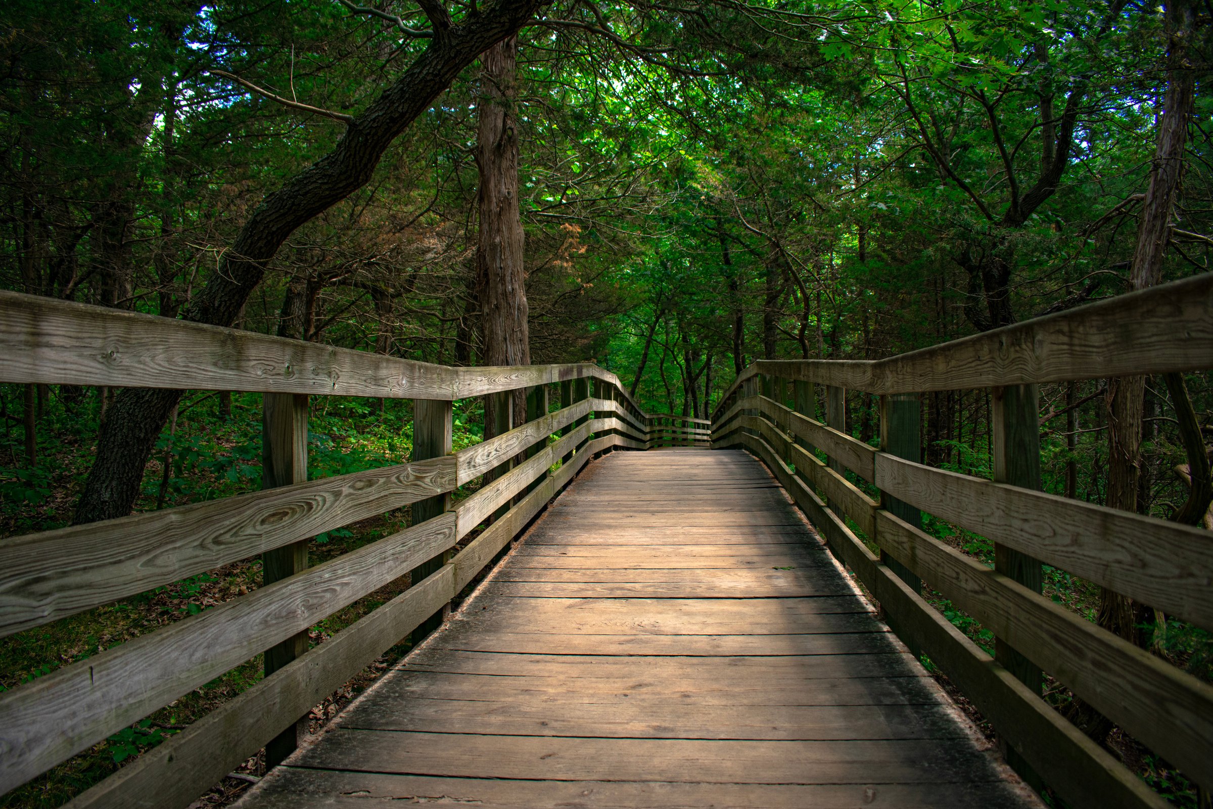 Natures Path